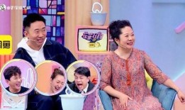 杨迪夫妇最新爆料,揭秘娱乐圈背后的真实故事